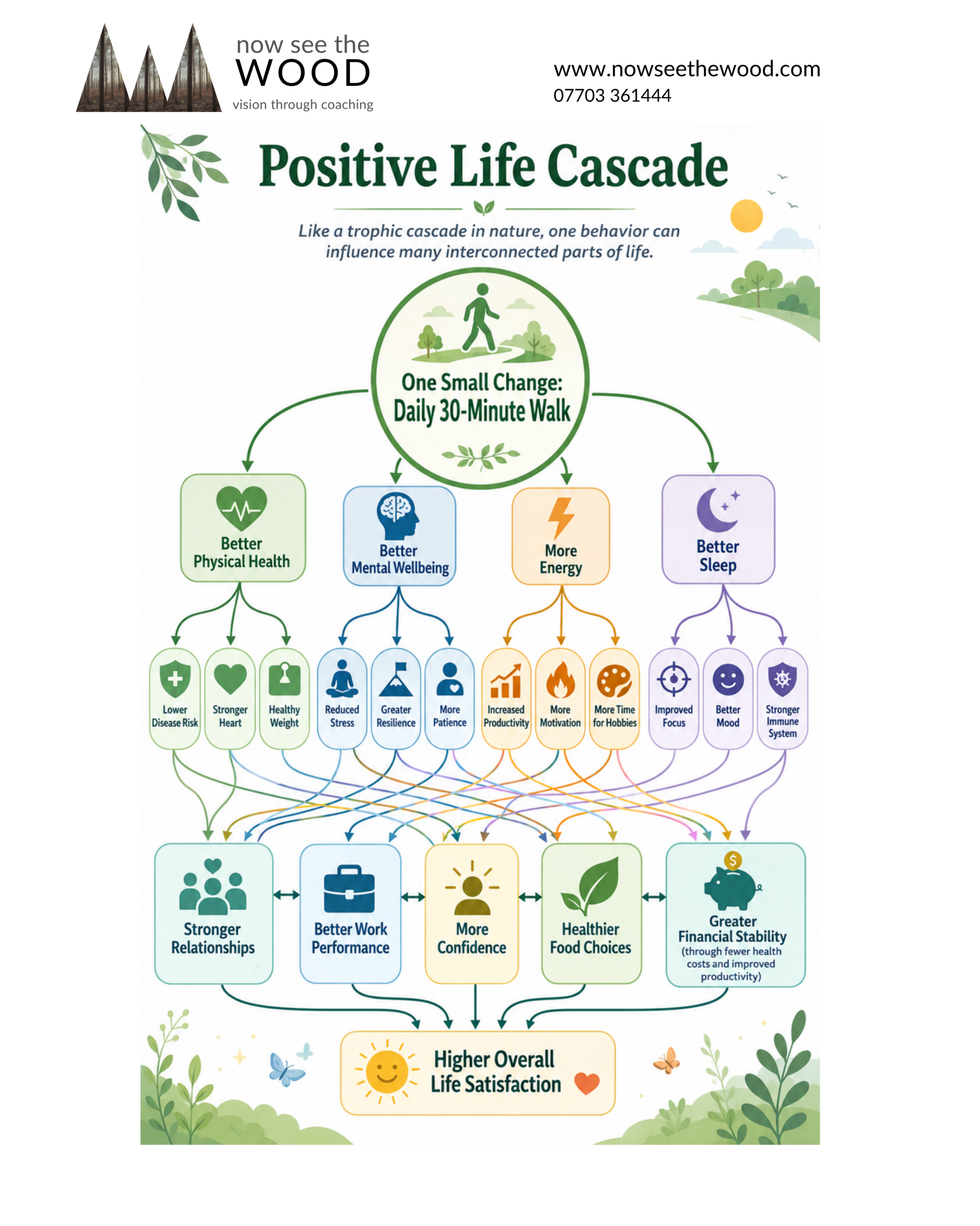 Yellowstone Park, Grey Wolves and the Positive Life Cascade